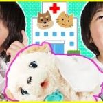 Kids of Ninjaの動画編集の秘密！憧れのキッズユーチューバーの年収は？
