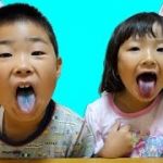 せんももあいチャンネル、お父さんの仕事は？年収はいくら？